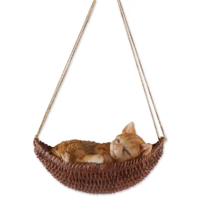 Napping Cat/Hammock