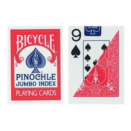Braille Jumbo Pinochle