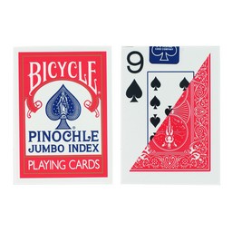 44 - Braille Pinochle Jumbo Index Cards